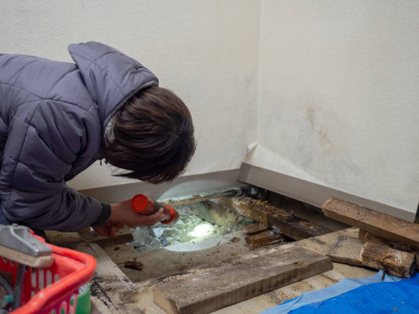 Best Post-Remediation Verification Testing  in Fairlea, WV