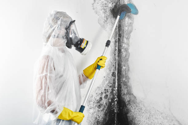 Best Crawl Space Mold Remediation  in Fairlea, WV