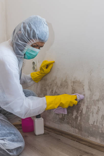 Best Air Quality Testing for Mold Spores  in Fairlea, WV